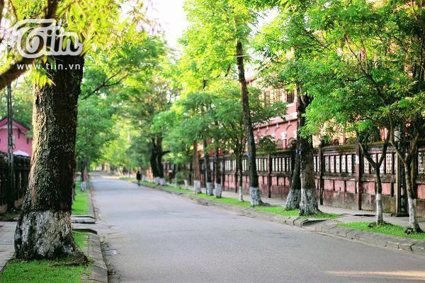 Tin Tin Hue Hostel Экстерьер фото